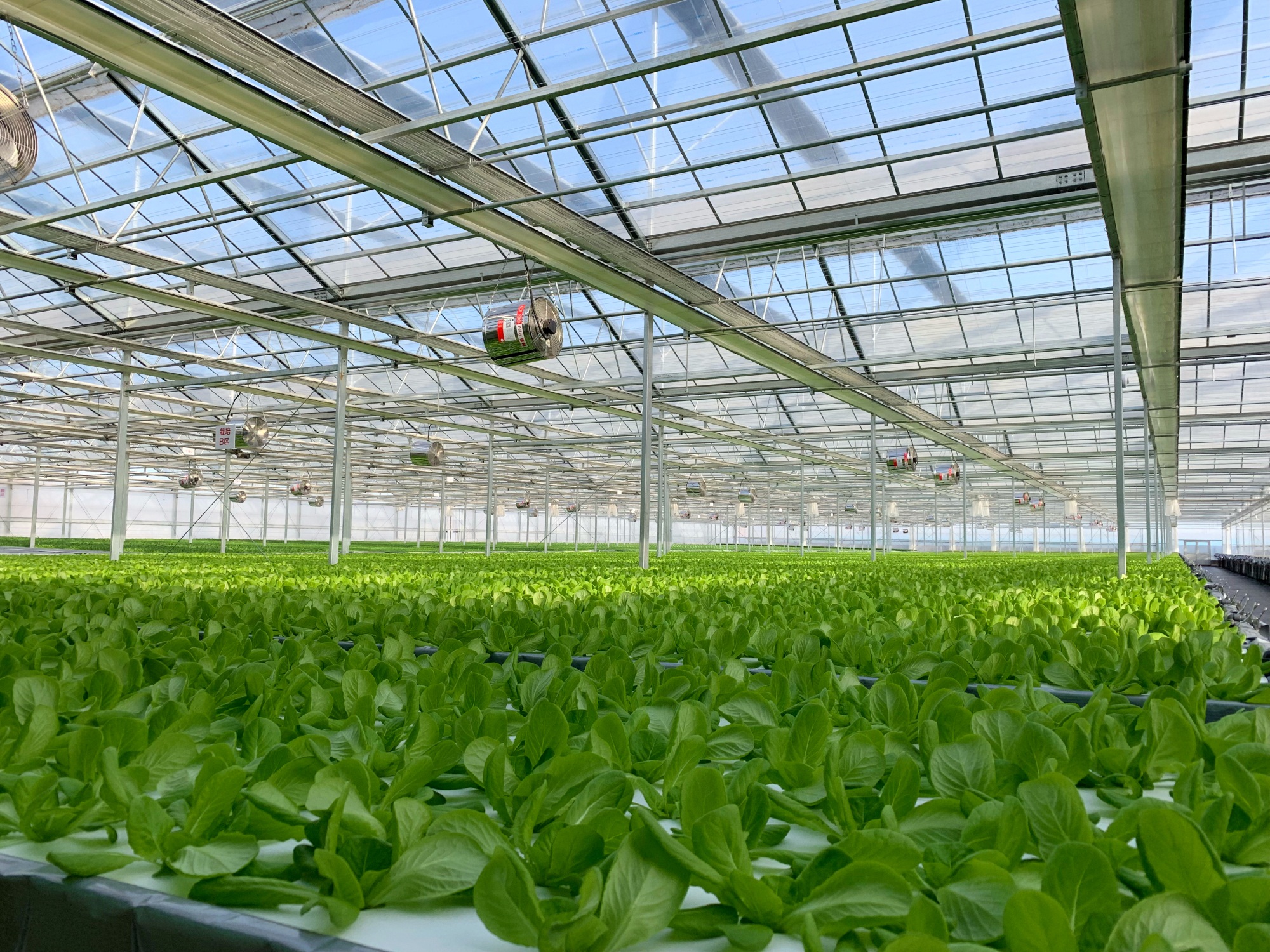 JD Plant Factory