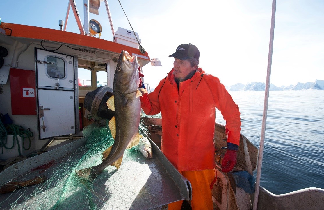 Norwegian Cod and Salmon Sold on JD Seafood Festival