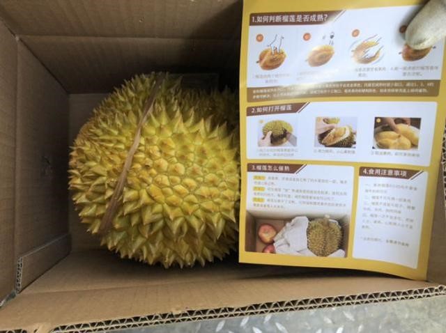 Every durian imported by JD goes through a comprehensive screening process