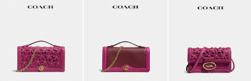 Coach opened a flagship store on JD
