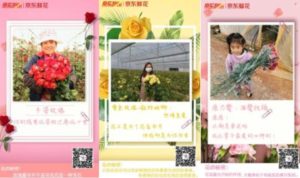 JD Boosts Yunnan's Flowers Sales on Chinese Valentine's Day "Qixi"