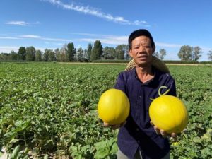 A Honeydew Melon Bought on JD for RMB 5 Yuan is Sold for 30,000