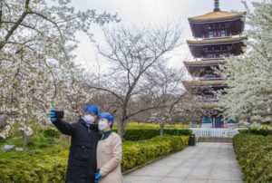 After three months of non-stop hospital work, a couple from Wuhan Central Hospital took a 30 minute-long walk in the park along the cherry blossoms