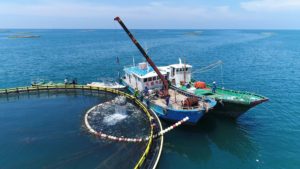 JD Fresh to Sell 200,000 Tons of Aquatic Products