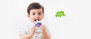 Leading UK Baby Food Brand Signs Copperation Agreeement with JD.com