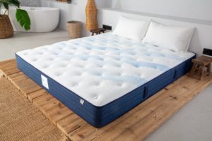 The famous mattress brand Sealy launched its crossover mattress “BlueStar” at JD