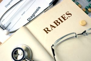 In Case of Rabies, JD Health's 2/7 Online Medical Srvices May Save Lives