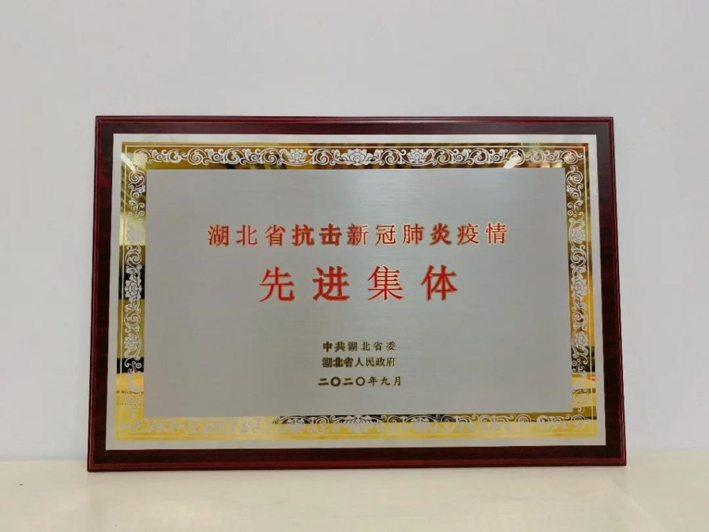 JD Logistics also won the “Team Excellency Award” from the Hubei provincial government,