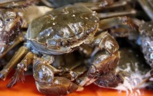 JD Uses Its E Commerce Strengths To Help Promote Hairy Crabs in Shandong