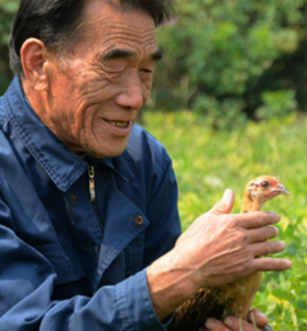 In Depth Report: The JD Scientific Model in Supporting China's Farmers and Agriculture
