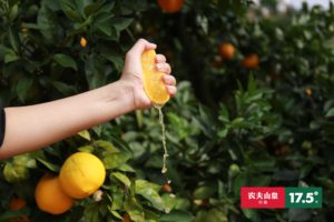 sales of the fresh fruit category of Nongfu Spring on JD have exceeded 100 million yuan