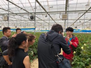 JD Flower's farm-to-market direct sales attraced international media attention