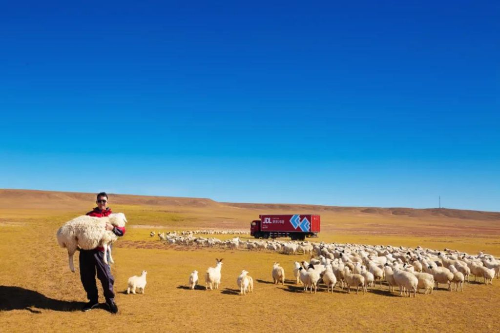 Over 200 beef and mutton merchants from Inner Mongolia have formed partnerships with JDL