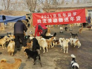 JD Pet Brings Chinese New Year Warmath to Homeless Animals