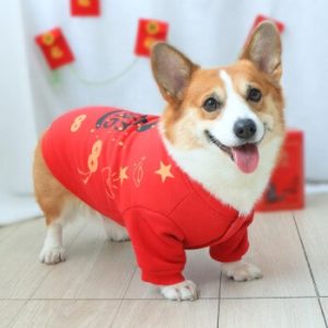 dog in red cloths