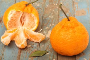 JD Sets Warehouse at Origion to Promote Citrus Sales