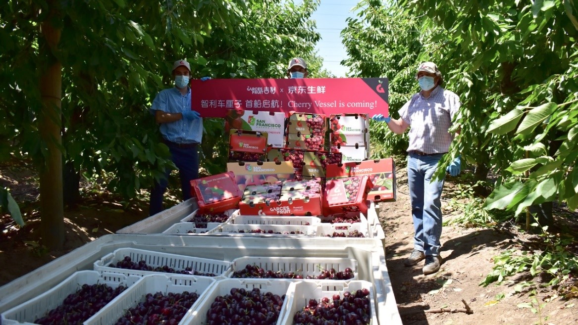 “This year, we are partnering with JD Fresh in the hopes of letting more Chinese consumers enjoy high-quality cherries,
