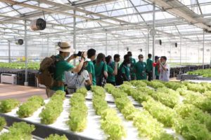 International Students Visit JD Hydroponic Plant Factory | Jd.com