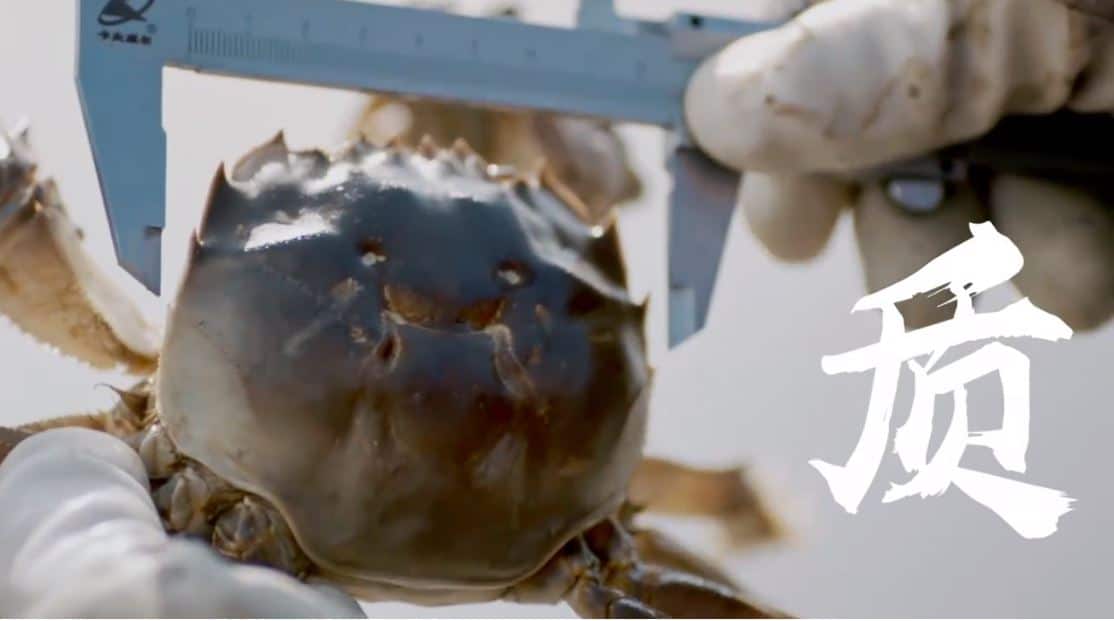 How JD.com Made a Produce Star out of Suqian Hairy Crabs